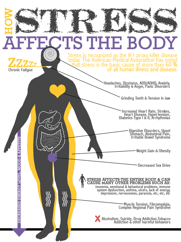 How Stress affects the Body 